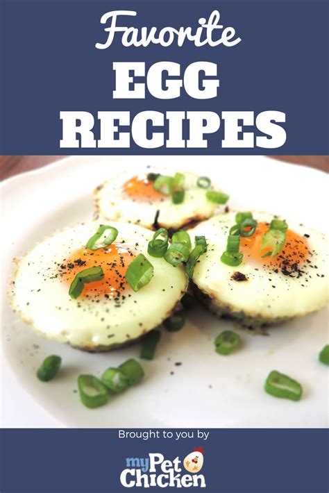 Egg Recipes - My Pet Chicken | Egg recipes, Healthy egg recipes, Recipes