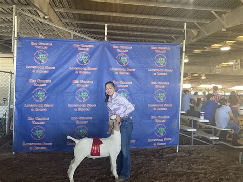 Students represent HCISD at 2022 Rio Grande Valley Livestock Show