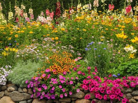 10 Must-Have Cottage Garden Flowers