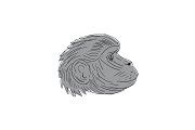 Gelada Monkey Head Side Drawing | Illustrations ~ Creative Market