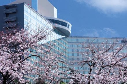 The Best Hotels in Tokyo with a View | The Hotel Guru