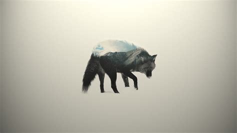 Wolf Minimalist Wallpapers - Wallpaper Cave