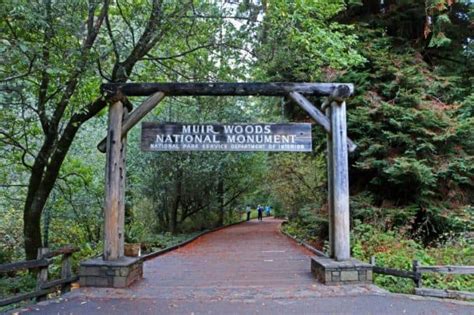 Muir Woods National Monument | Park Ranger John