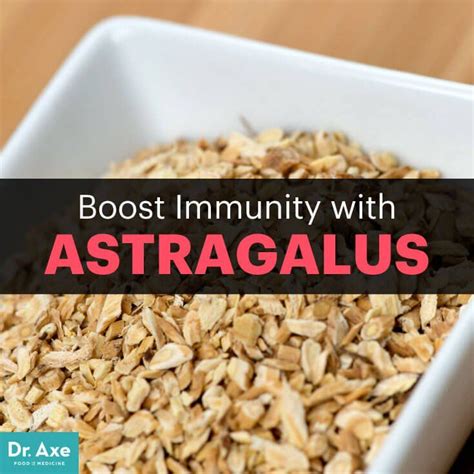 Astragalus Root Benefits, Uses, Side Effects and More - Dr. Axe | Food ...