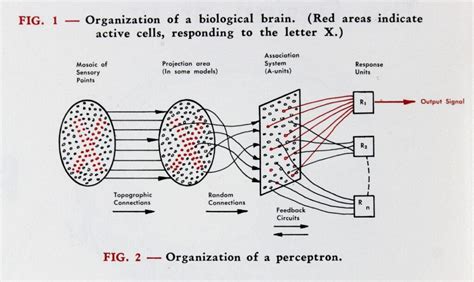 How Do Neural Network Systems Work? - CHM