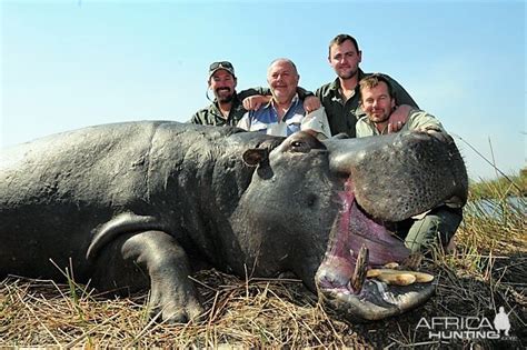 Hippo Hunting Namibia | AfricaHunting.com