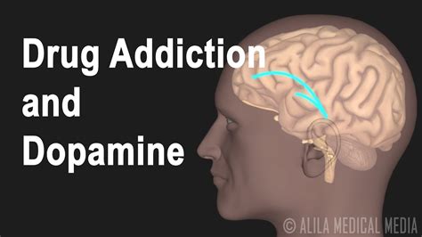 Mechanism of Drug Addiction in the Brain, Animation.