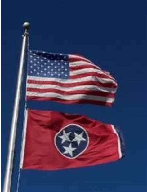 Pin by Mary B Francez Lanoux on le drapeau | Tennessee state flag ...