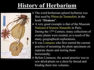 Herbarium Techniques | PPT