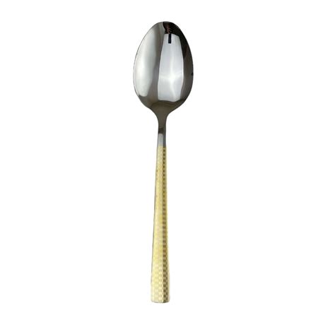 Stainless Steel Large Spoon - American Golden Season