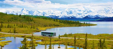 Denali National Park Bus Tours | AlaskaTravel.com