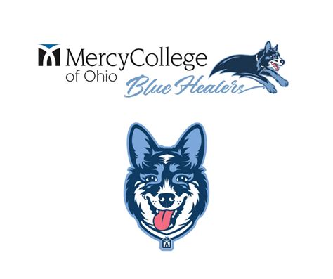 Introducing Mercy College Mascot: Blue Healer | Mercy College