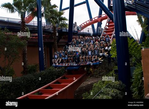 Sheikra Roller Coaster Stock Photo - Alamy