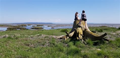 Take a Walk in Nature - Boundary Bay - The Nature Trust of British Columbia