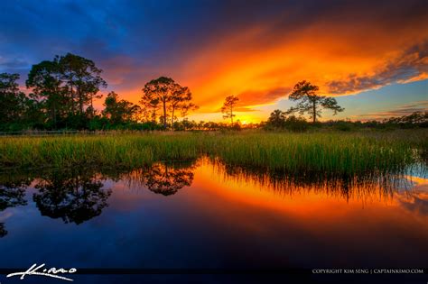 Acreage Pines Natural Area Sunset Loxahatchee Florida