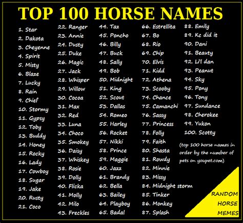 Pin by Sandy Amdor on Horse Stuff | Horse names, Horse show names, Best ...