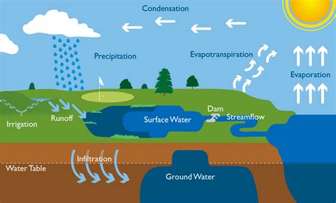 What Happens to Water Underground?