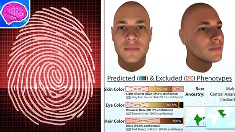 What Your Fingerprint Can Reveal About You