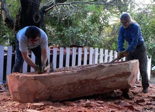 How to Make a Dugout Canoe