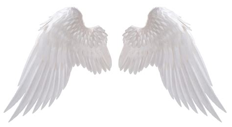 Image result for angel wings png | Angel wings png, Wings png, Angel ...