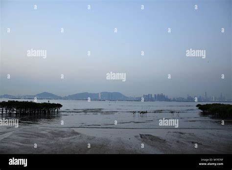 Shenzhen bay and skyline seen from New Territories, Hong Kong Stock ...