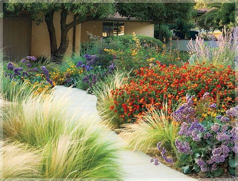 38 Best Drought Tolerant Plants That Grow In Lack Of Water | Xeriscape front yard, Water wise ...