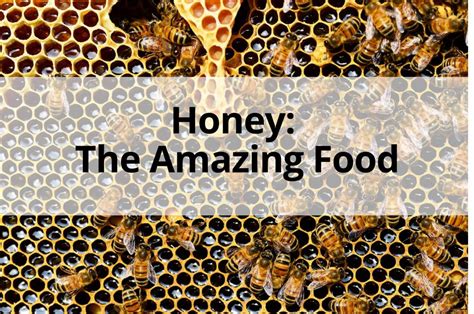 Honey: The Amazing Food and Our Honey Recipes - Pocket Change Gourmet