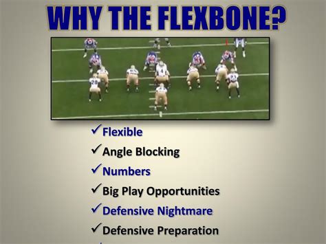 PPT - FLEXBONE OFFENSE PowerPoint Presentation, free download - ID:2339314