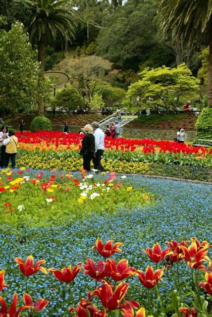 Wellington Botanic Garden | Botanical gardens, Botanical, Travel around ...