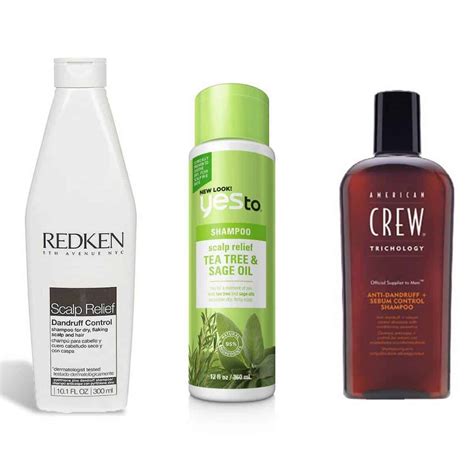 The 12 Best Dandruff Shampoos in 2024 - Next Level Gents