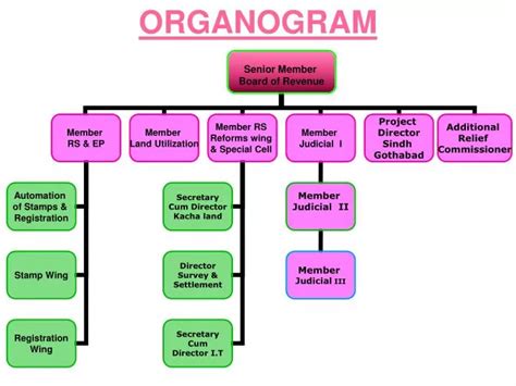 Organogram Template Ppt | Hot Sex Picture