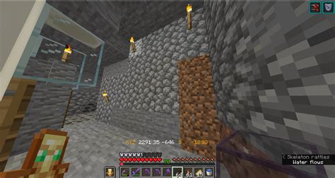 Before & After shot of my Skeleton Spawner : r/Minecraft