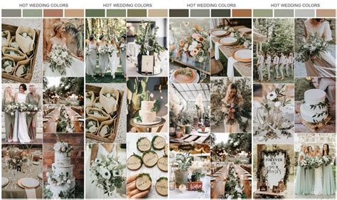 10 Sage Green Wedding Color Palettes for 2024 Trends