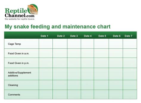 Print out this free snake feeding and maintenance chart to help you stay on track when it comes ...