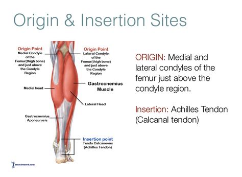 Tendon primary in design midas civil - vsauno