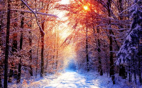 winter scenes-the cold winter landscape Desktop-1680x1050 Download | 10wallpaper.com