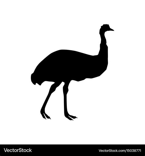 Ostrich emu silhouette Royalty Free Vector Image