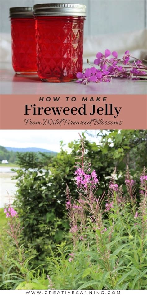 Fireweed Jelly