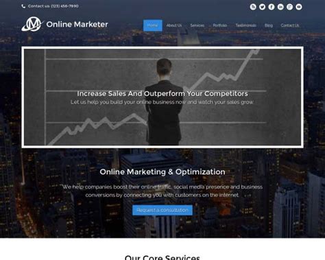 Online Marketing WordPress Theme – Nexus Themes