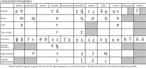 Hacking Pronunciation with the IPA: Consonants | Transparent Language Blog