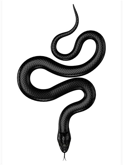 BLACK SNAKE Art Board Print | ubicaciondepersonas.cdmx.gob.mx