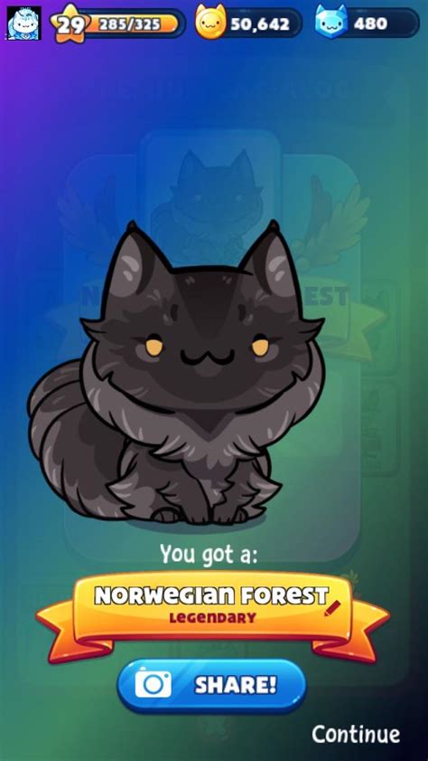 I finally got my favorite cat in the game!! : r/catgamecatcollector