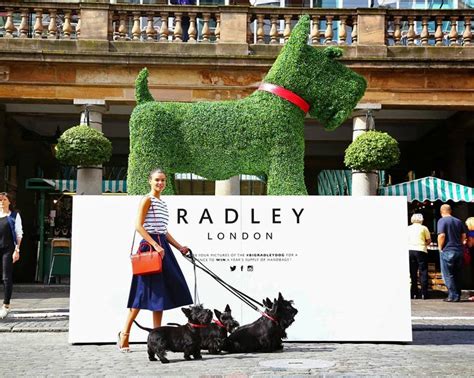 Radley the Dog - Agrumi Bespoke Topiary