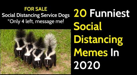 20 Funniest Memes About Social Distancing In 2020 - Bouncy Mustard