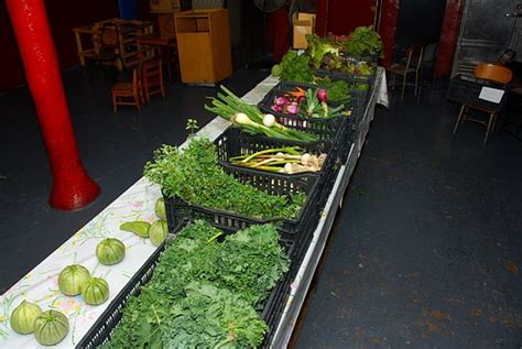 Central Brooklyn CSA | Lots of veggies | Shawn Rosvold | Flickr