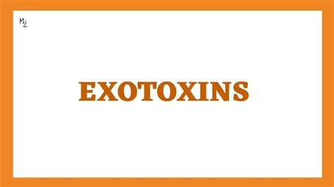 EXOTOXINS | Type-I, Type-II and Type-III Exotoxins | Mechanism of Exotoxins with Examples - YouTube