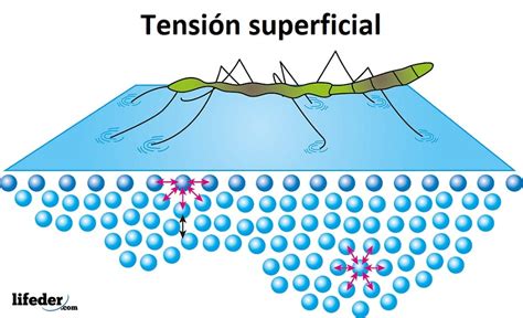 Propiedades físicas y químicas del agua