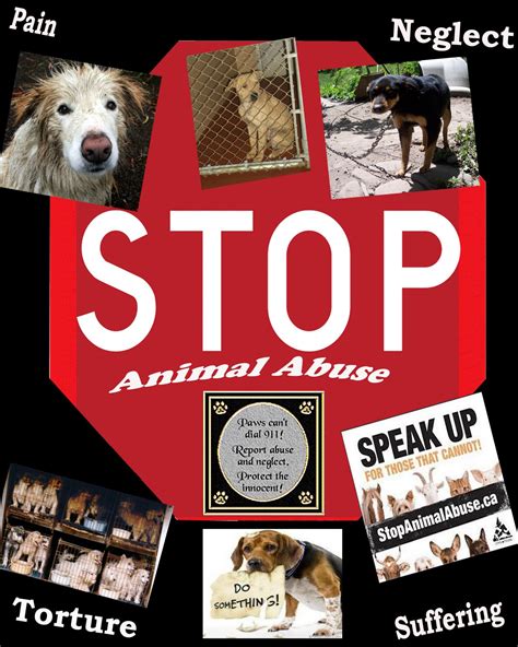 Fighting Animal Abuse: Poster 3