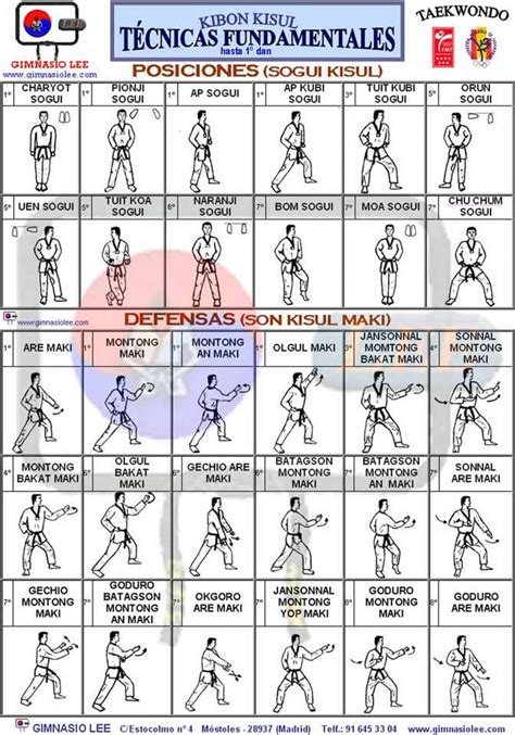 Taekwondo Techniques For Beginners