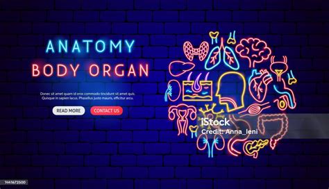 Anatomy Neon Banner Design Stock Illustration - Download Image Now ...